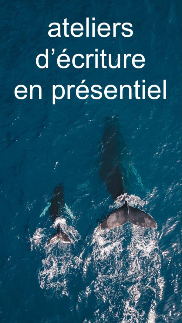 écrire sa vie, écrire la vie, mettre en mots des souvenirs, élaborer un recueil de souvenirs, les transmettre à ses proches, partager, écrire encore...