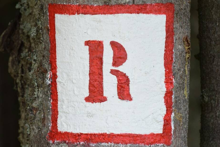 La lettre R en rouge sur fond blanc sur un tronc d'arbre